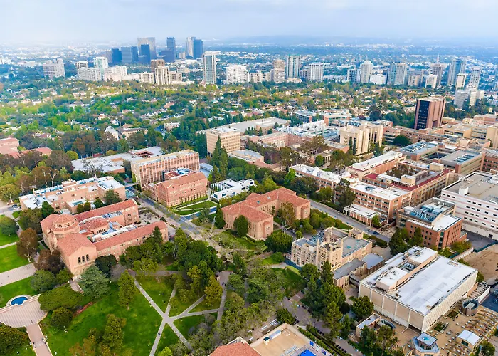 Kimpton Palomar Beverly Hills By Ihg
